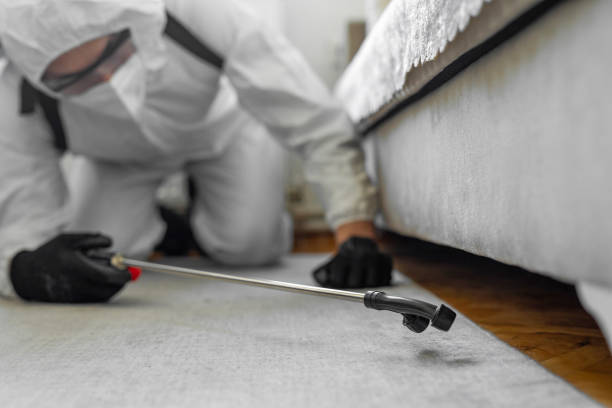 Professional Termite Control technician working in Midland, TX