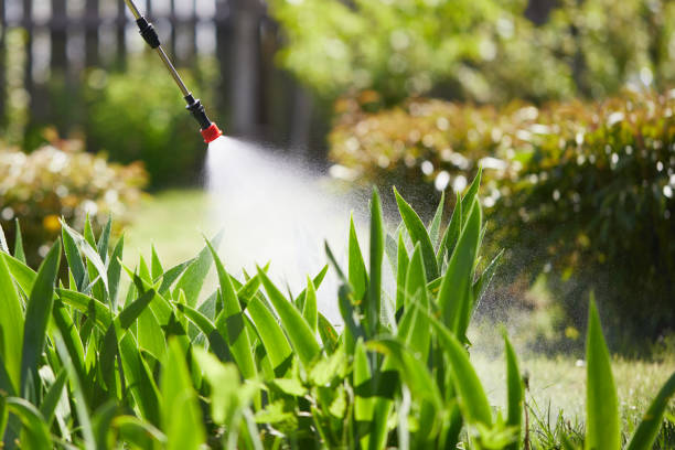 24/7 Emergency Termite Control experts in Midland, TX