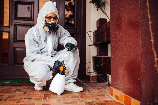 Reliable Termite Control contractor in Midland, TX by Nex Pest Control